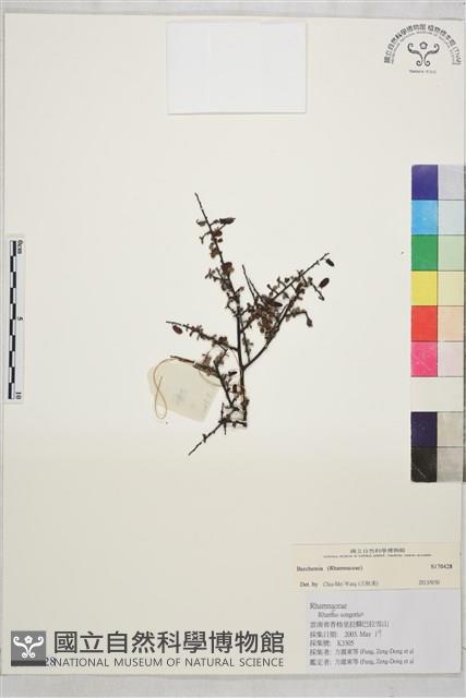 登錄號:S170428藏品圖，第1張