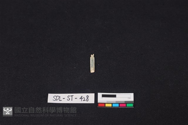 玉飾藏品圖，第1張
