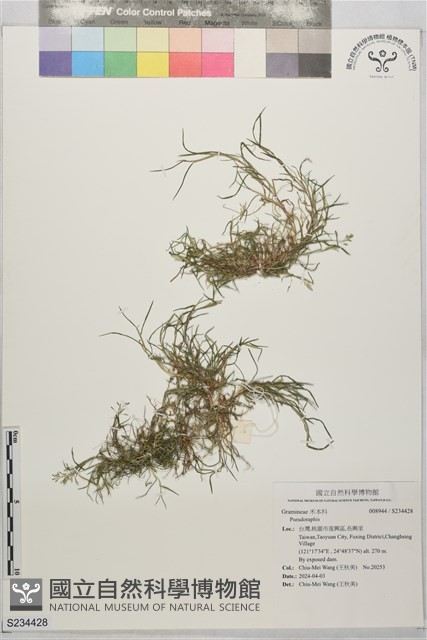 登錄號:S234428藏品圖，第1張
