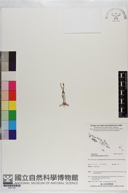 登錄號:S201128藏品圖，第1張