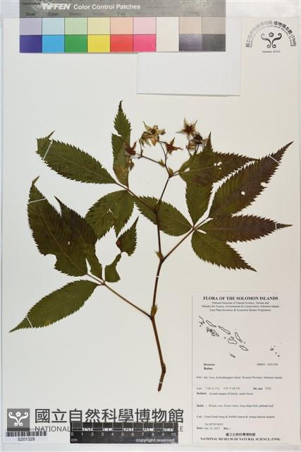 登錄號:S201328藏品圖，第1張