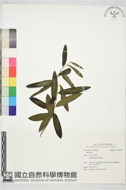 登錄號:S232828藏品圖，第1張