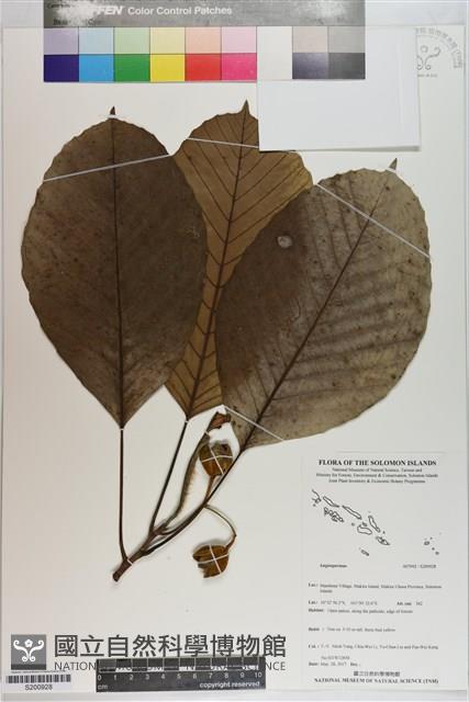 登錄號:S200928藏品圖，第1張