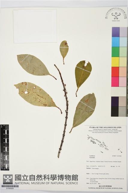 登錄號:S195928藏品圖，第1張