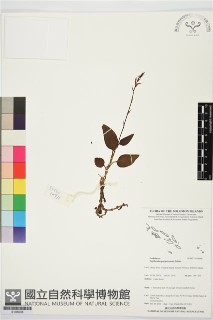 登錄號:S196008藏品圖，第1張
