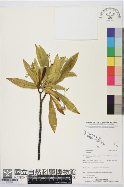 登錄號:S195708藏品圖，第1張