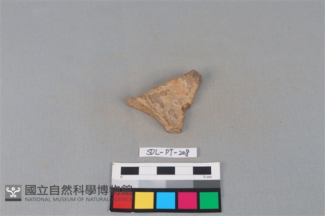 連杯形器藏品圖，第1張