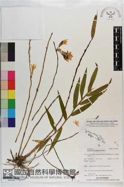 登錄號:S203208藏品圖，第1張