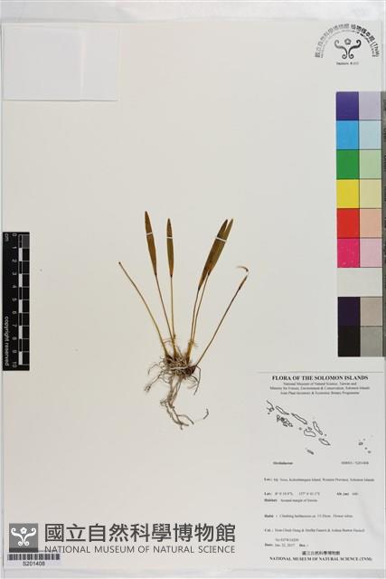 登錄號:S201408藏品圖，第1張