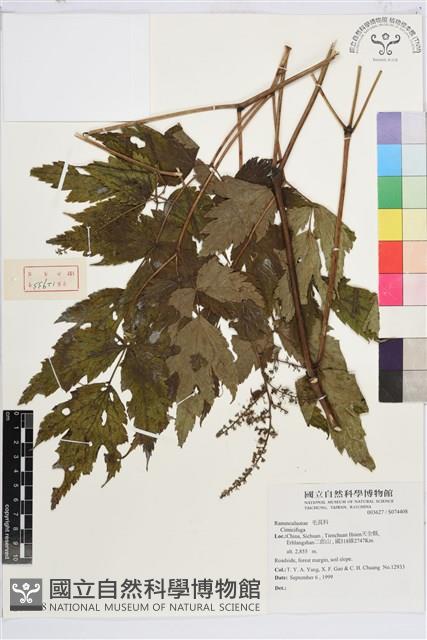 登錄號:S074408藏品圖，第1張