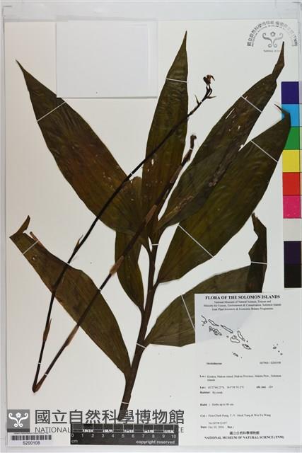 登錄號:S200108藏品圖，第1張