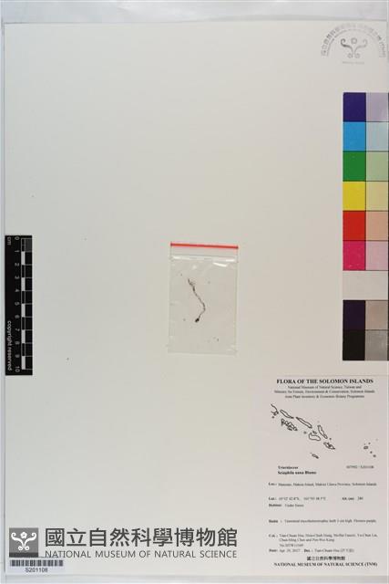 登錄號:S201108藏品圖，第1張