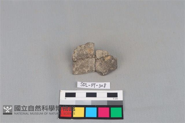 陶片藏品圖，第1張