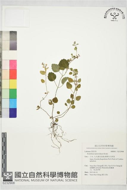 登錄號:S232908藏品圖，第1張