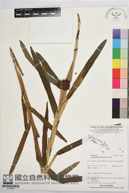 登錄號:S195908藏品圖，第1張