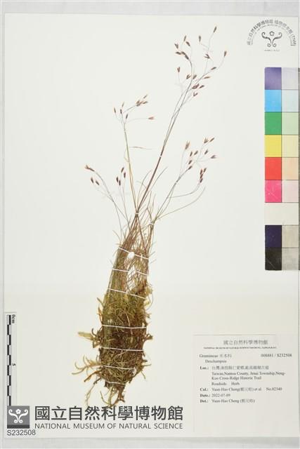 登錄號:S232508藏品圖，第1張