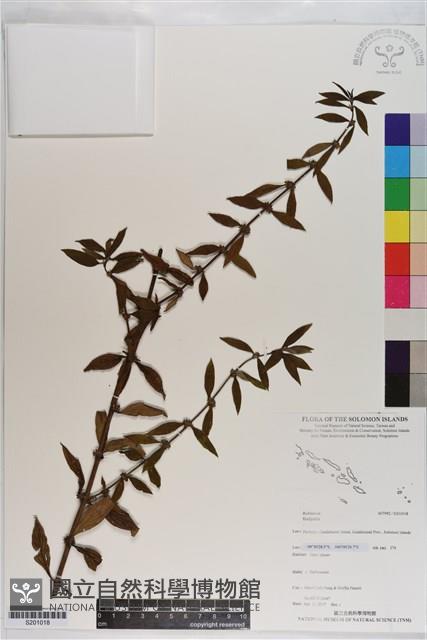 登錄號:S201018藏品圖，第1張