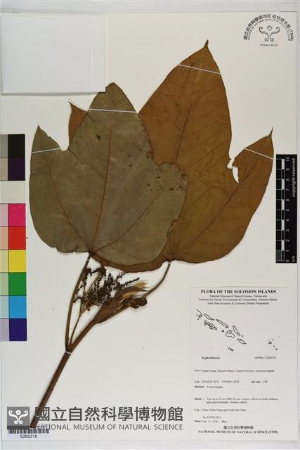 登錄號:S200218藏品圖，第1張