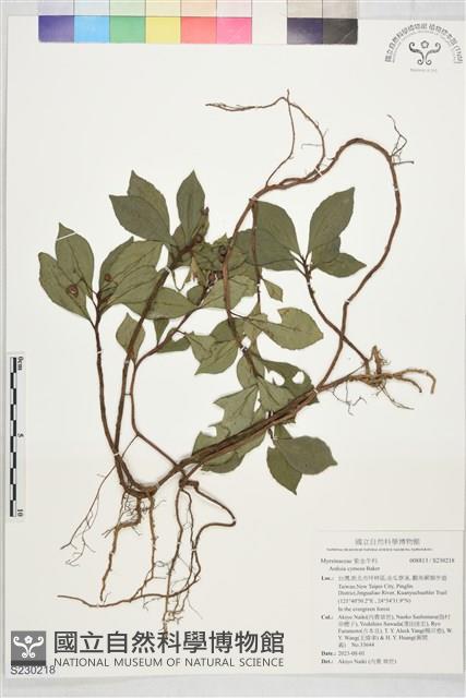 登錄號:S230218藏品圖，第1張