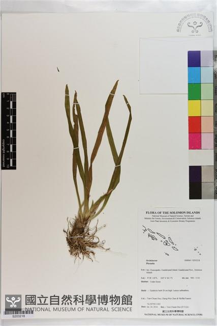 登錄號:S203218藏品圖，第1張