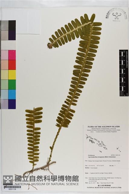 登錄號:S201118藏品圖，第1張