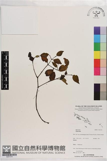 登錄號:S201318藏品圖，第1張