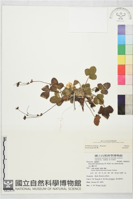 登錄號:S082818藏品圖，第1張