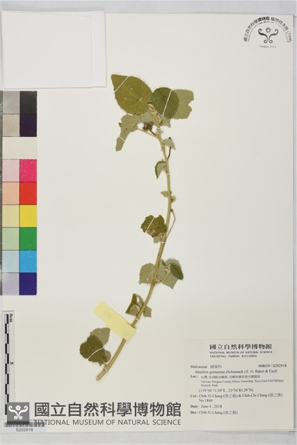 登錄號:S202918藏品圖，第1張