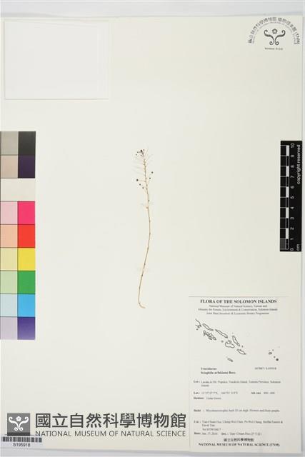 登錄號:S195918藏品圖，第1張