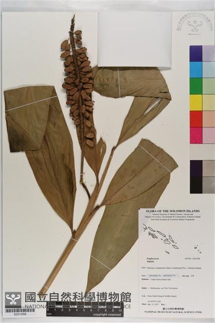 登錄號:S201058藏品圖，第1張