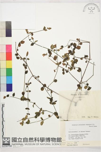 登錄號:S230758藏品圖，第1張