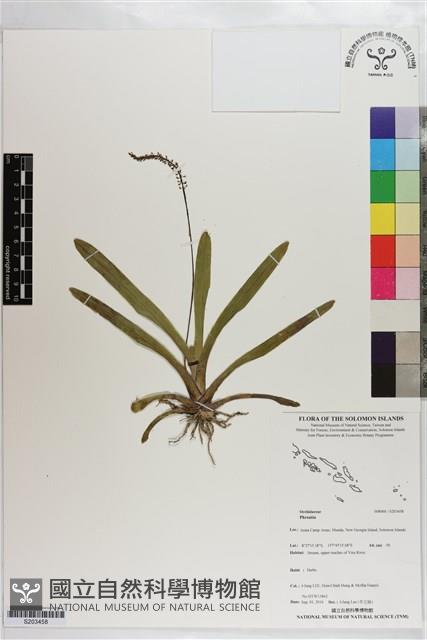 登錄號:S203458藏品圖，第1張