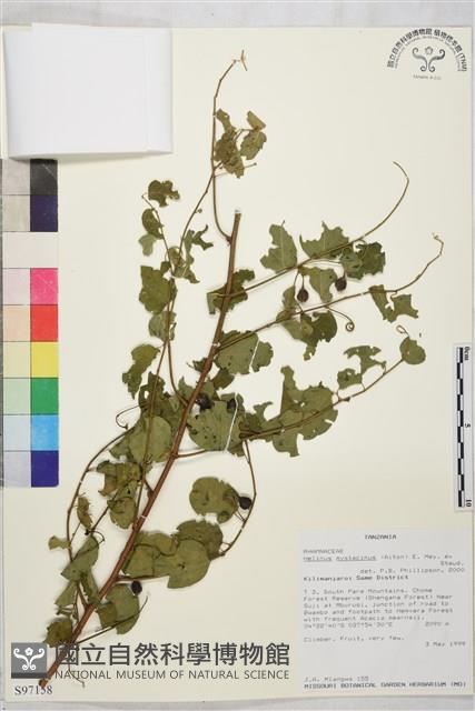 登錄號:S097158藏品圖，第1張