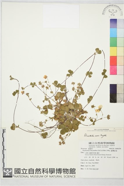 登錄號:S086358藏品圖，第1張