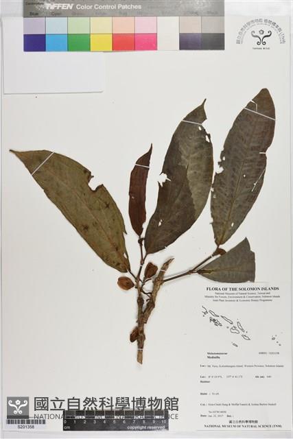 登錄號:S201358藏品圖，第1張