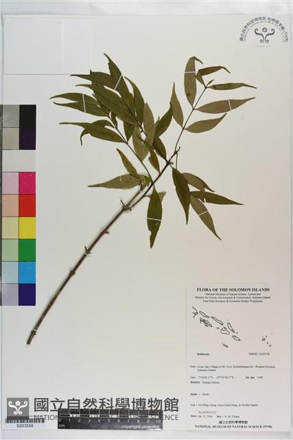 登錄號:S203558藏品圖，第1張