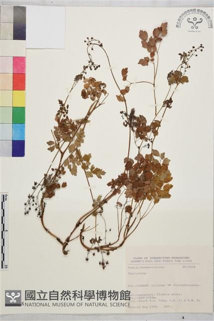 登錄號:S031698藏品圖，第1張