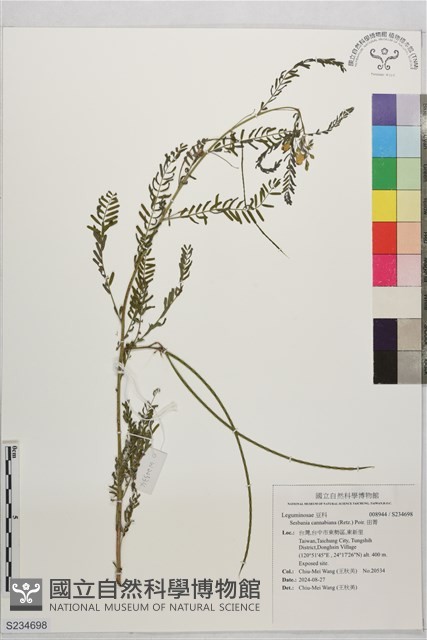田菁藏品圖，第1張