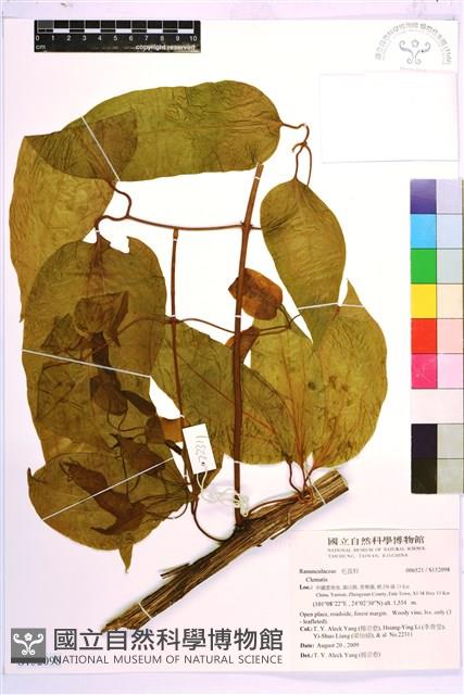 登錄號:S152098藏品圖，第1張