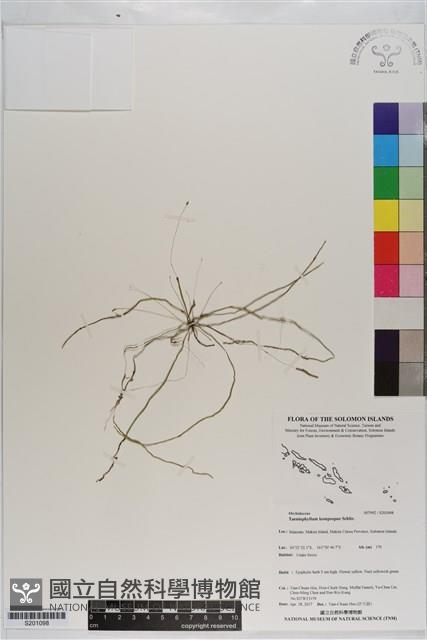 登錄號:S201098藏品圖，第1張