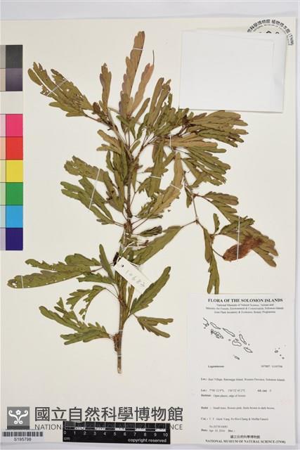 登錄號:S195798藏品圖，第1張