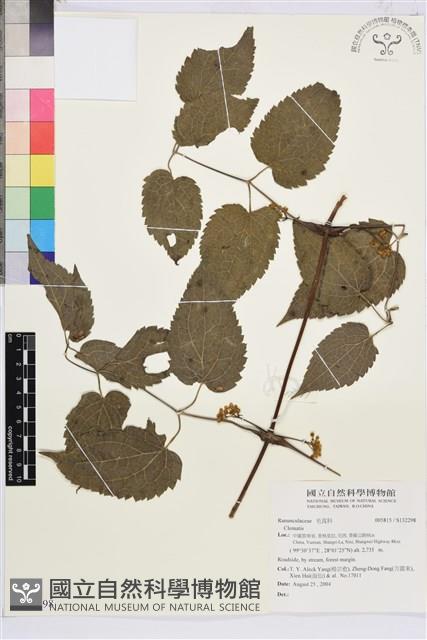 登錄號:S132298藏品圖，第1張