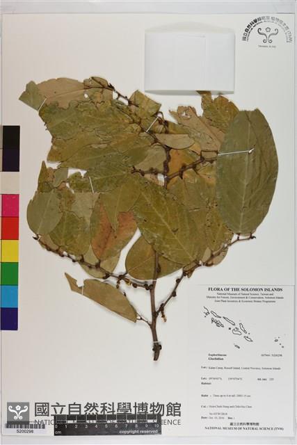 登錄號:S200298藏品圖，第1張