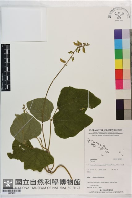 登錄號:S201298藏品圖，第1張