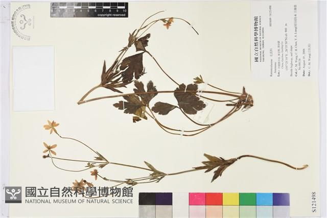 登錄號:S121498藏品圖，第1張