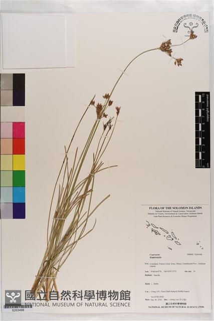 登錄號:S203498藏品圖，第1張