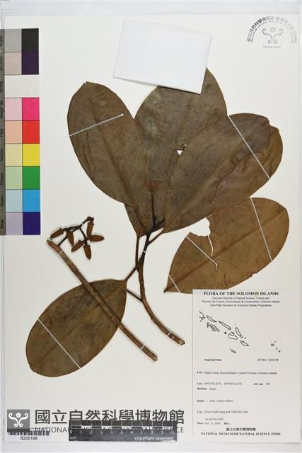 登錄號:S200198藏品圖，第1張