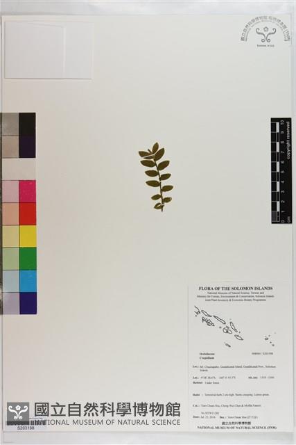 登錄號:S203198藏品圖，第1張