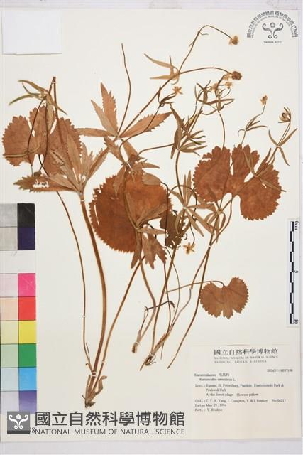 登錄號:S037198藏品圖，第1張