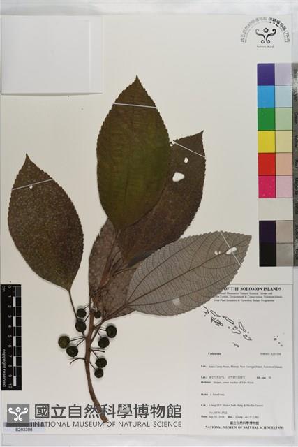 登錄號:S203398藏品圖，第1張